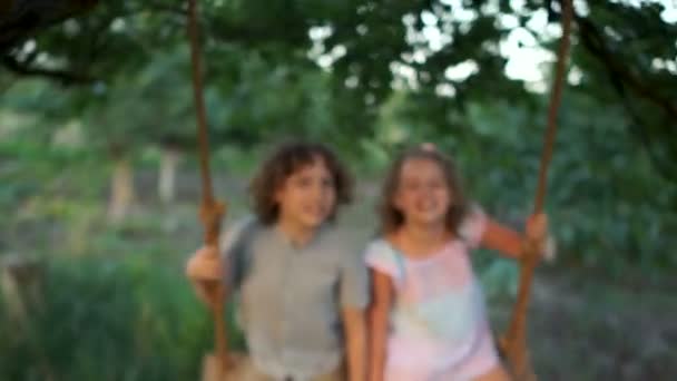 Beaux enfants frisés frolic chevauchant sur une balançoire. Famille amicale, vacances d'été, journée des enfants — Video