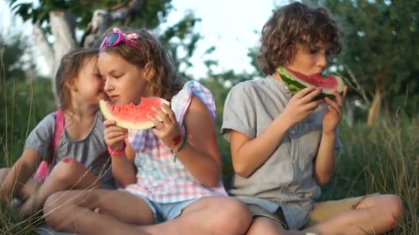 Ein Bruder und zwei Schwestern essen eine Wassermelone, die auf dem Gras sitzt. fröhliche Kinder flüstern einander ins Ohr und lachen. Frohe Feiertage. Kinderspiele — Stockvideo