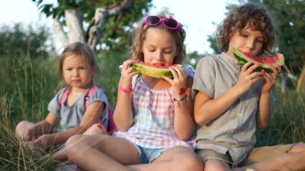 Três crianças, um menino e duas meninas, de bom grado comem uma melancia e mostram um gesto de polegar para cima. Turma. Comida saudável, férias de verão — Vídeo de Stock