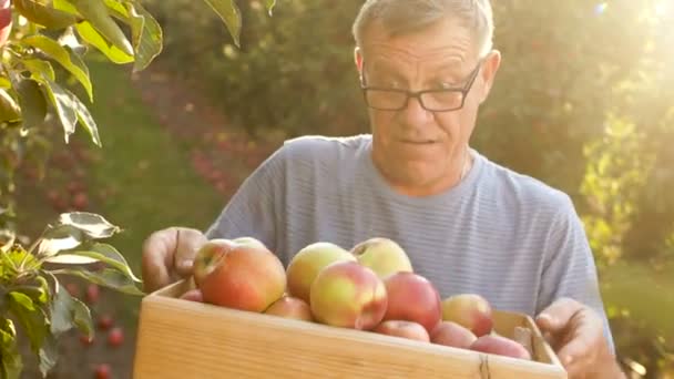 Hombre mayor sonriendo sostiene una caja con manzanas rojas. Granja, cosecha, comida sana — Vídeo de stock