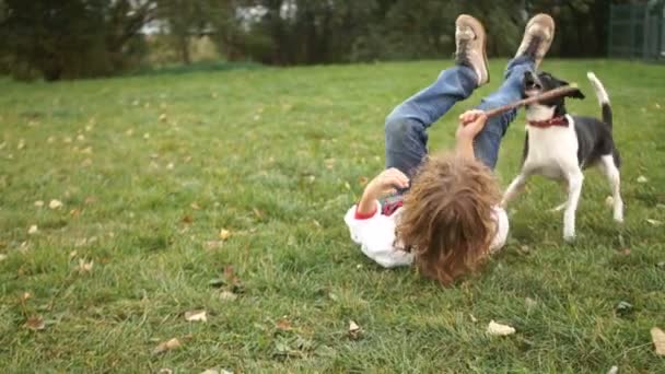 Een jongen en een zwart-witprinter hond spelen op het groene gras. Actieve familievakantie met dieren — Stockvideo