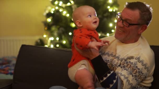 Glückliche Opas mit kleiner Enkelin sitzen auf dem Sofa neben dem Weihnachtsbaum. zwei Generationen — Stockvideo