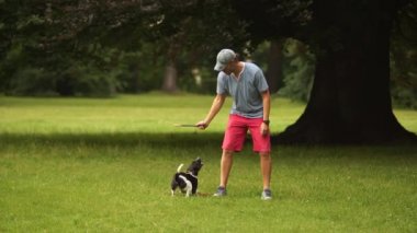 Adam parkta büyük bir ağaç altında yeşil bir çayırda yaz Köpek eğitiyor. Köpek eğitmek. A evde beslenen hayvan ile oynamak. Köpek işleyici