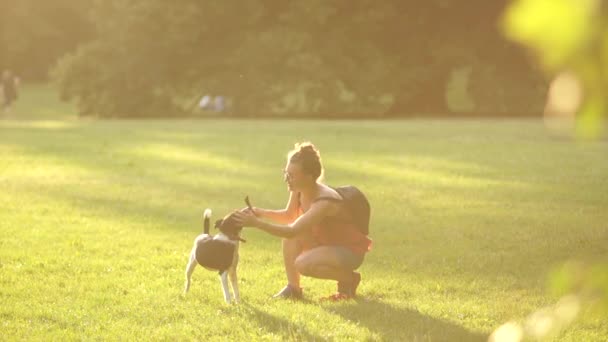 Menina bonita em uma camiseta, shorts e óculos, com uma mochila brincando com seu cachorro, acariciando-a. Treinamento de cães — Vídeo de Stock