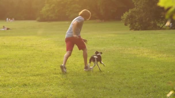 Man tränar och går med hunden i sommar på en grön äng i parken. Att utbilda hunden. Spela med ett husdjur. Hundförare — Stockvideo