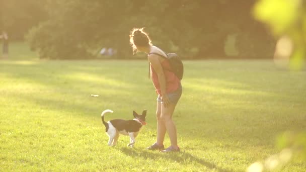 少女を空き地にある公園で彼女の犬のトレーニングです。棒と犬にそれを持参するように実行をスローします。夕日夏の太陽 — ストック動画