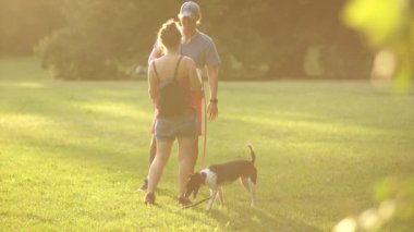 Genç bir çift bir köpek parkta yürüyüş. Yaz günbatımı, sevgi dolu bir çift şort onların siyah beyaz sokak köpeği ile