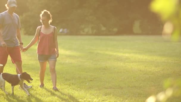Mann und Frau, ein Liebespaar, gehen bei Sonnenuntergang mit ihrem Hund im Park spazieren. Küssen in den Strahlen der untergehenden Sommersonne — Stockvideo