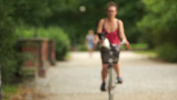 Retrato cercano de un perro en una cesta de bicicleta. Chica joven lleva a su perro en una cesta de bicicletas, mascotas divertidas — Vídeos de Stock