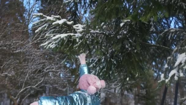 Девочка трясет ветку сосны, покрытую снегом. Подросток одет в розовую вязаную шляпу, рукавицы и голубую блестящую куртку. — стоковое видео