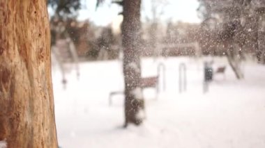 Pembe örgü şapka oynarken kız parkta snowballs. Bir ağacın arkasından bakıyor ve kartopu birine atar