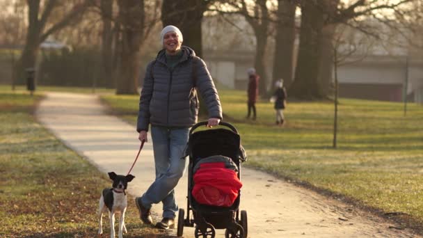 Молодий батько на прогулянці з дитиною і собакою в парку. Чоловік у сірій куртці і капелюсі, носить червону коляску і тримає собаку на повідку — стокове відео