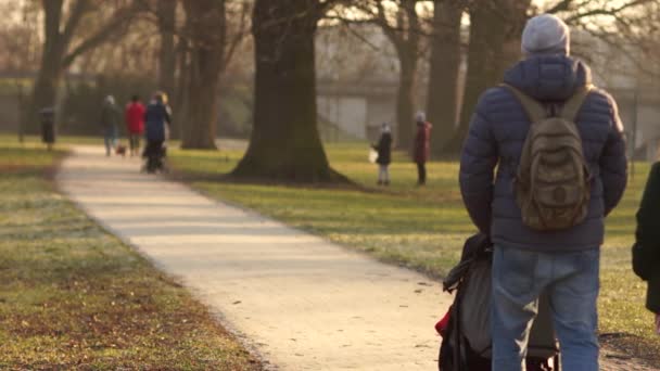Fiatal család és a kutya, séta a babakocsival a téli parkban. Járműcsalád-koncepció — Stock videók