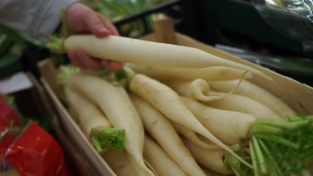 Mão segurando um rabanete branco no supermercado local. Um homem compra rabanete daikon, comida saudável — Vídeo de Stock
