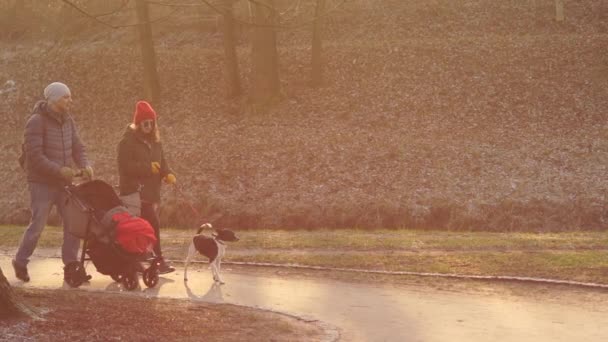 Egy férfi és egy nő sétált a babakocsi, és egy kutya pórázon az ösvényen a parkban. Késő ősszel, fagyos tél hó nélkül — Stock videók