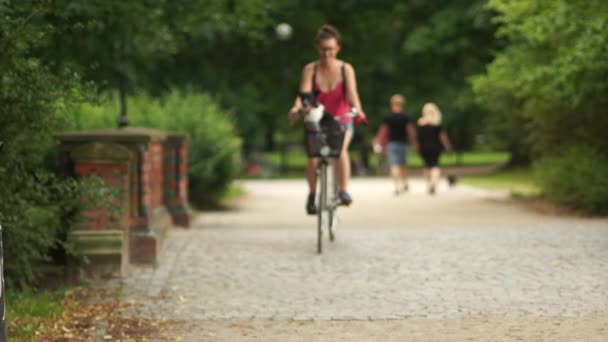 犬は、彼の愛人との自転車のかごで乗っています。公園やお気に入りのペット、黒と白の雑種の夏の散歩 — ストック動画