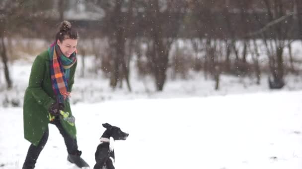 เด็กสาวที่กระตือรือร้นเล่นกับสุนัขของเธอในสวนฤดูหนาว ผู้หญิงสวมเสื้อโค้ทสีเขียวและผ้าพันคอเช็คเกอร์ — วีดีโอสต็อก