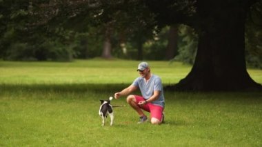 Siyah ve beyaz melez bir sopa onun asıl'getiriyor. Bir adam bir köpek ile bir yaz akşamında bir meşe ağacının altında bir çayır üzerinde çalış