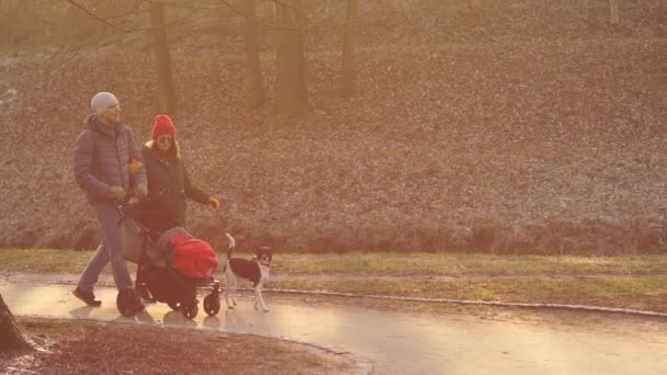 Familie voor een wandeling in het park. Jonge man en vrouw lopen met de baby in de kinderwagen. Moeder kijkt naar het kind — Stockvideo