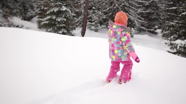 La bambina cammina lentamente attraverso la neve fino al bordo della montagna. Sullo sfondo della foresta innevata. Vacanze invernali. Sicurezza dei bambini durante il riposo — Video Stock