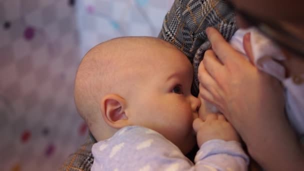 Um bebê de dez meses durante a amamentação nas mãos de sua mãe. Close-up, licença de maternidade, cuidado do bebê — Vídeo de Stock