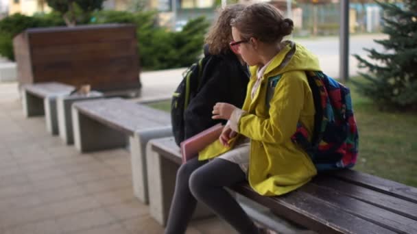 I teppisti hanno attaccato una studentessa esemplare con gli occhiali. Minacciava e intimidiva la ragazza, strappava gli occhiali. Scuola di tiro — Video Stock