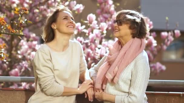 Madre e hija adultas hablan de pie en un balcón sobre un fondo de una magnolia floreciente. Día Internacional de la Mujer, Día de la Madre, Día de la Familia — Vídeo de stock