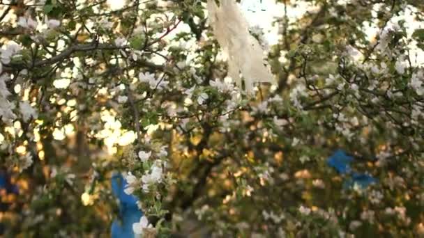 Sacs en plastique sur les branches de pommiers en fleurs. Pollution plastique de la planète, problème des déchets ménagers, zéro déchet, coucher de soleil dans la ville — Video