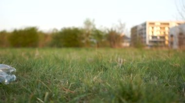 Kadın bacağı çimenlerde plastik bir şişeye basıyor, yakın plan. Plastik kirliliği sorunu, plastiği durdurmak, ev atıkları