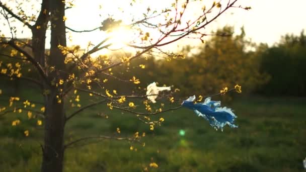 木の枝にプラスチックゴミ。太陽の光の中で、日没時の春の木のクローズアップ。プラスチックを止めろ生態学的概念 — ストック動画