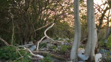 Belediye atıklarının izinsiz boşaltılmış. Kadın aktivist büyük mavi çanta plastik çöp koyar