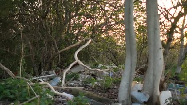 Belediye atıklarının izinsiz boşaltılmış. Kadın aktivist büyük mavi çanta plastik çöp koyar — Stok video