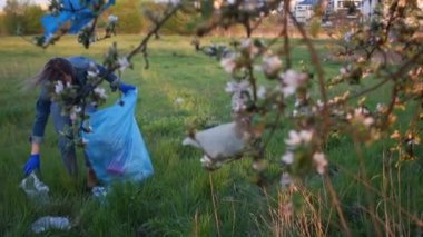 Gönüllü Kadın güzel bir elma çiçeği dalları altında parkta çöp toplar. Evsel atık sorunu, plastik durdurmak, sıfır atık