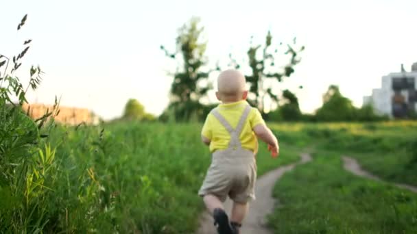 Ένα μικρό παιδί που περπατάει single με αγροτικό τρόπο, ένα παιδί με πίσω βήμα έτοιμο για νέες περιπέτειες. Το μωρό πέφτει και σηκώνεται πάλι, τα πρώτα βήματα — Αρχείο Βίντεο