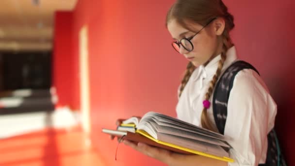 Девушка с книгами и рюкзаком в школьном коридоре. Возвращение в школу — стоковое видео