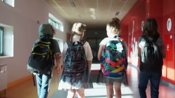 De vuelta a la escuela. Vista trasera. Los alumnos pasan por el pasillo de la escuela. Dos chicos y dos chicas. Los niños llevan mochilas — Vídeo de stock