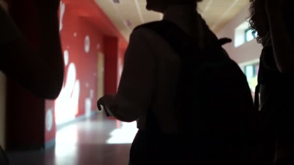 Eine Gruppe Jugendlicher ist in der Schulaula für eine Stunde Klassenkamerad. Kinder gehen vom dunklen Gang in den beleuchteten Bereich, Rückansicht. Zurück zur Schule — Stockvideo