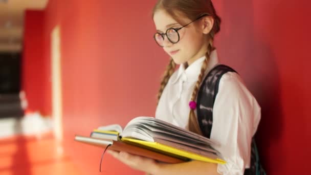 Gözlük ile sevimli bir kız portresi. Schoolgirl elinde kitap tutuyor, geri bir el çantası arkasında, okula geri, sınav için hazırlanıyor, mezuniyet sınavları — Stok video