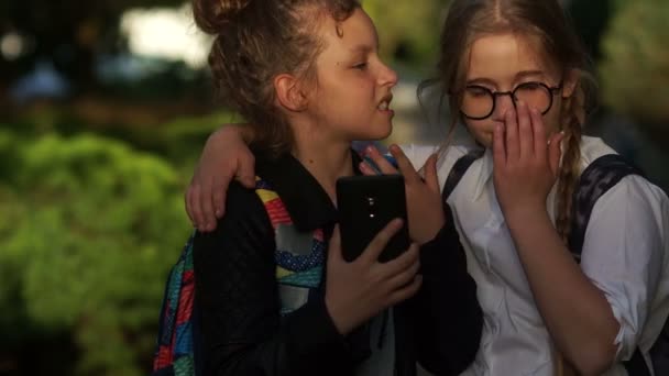 Konzept der Schulfreundschaft. zwei Mädchen im Teenager-Alter. im Sommer des Stadtparks. Sie machen Fotos mit dem Smartphone. Hinter Rucksäcken. die emotionale Pose am Telefon — Stockvideo