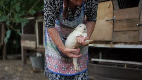 Una anciana campesina sostiene un conejo en sus manos. El animal está muy asustado y está tratando de liberarse. Granja de conejos, atención veterinaria, examen médico — Vídeos de Stock