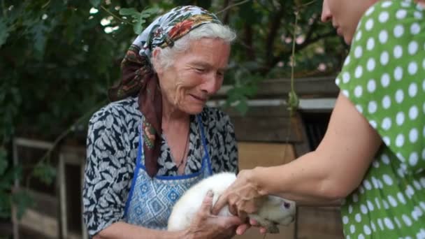 Eine alte Frau reicht einem jungen Mädchen ein Kaninchen in die Hände. Kaninchenfarm, tierärztliche Versorgung, ärztliche Untersuchung