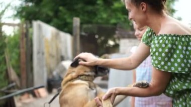 Metresi okşar bir zincir köpek, yakın portresi kadar. Hayvanların bakımı, hayvan haklarının korunması, köpek barınağı