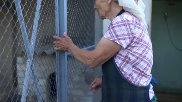 A velhota fecha o portão de ferro do quintal. Europa Oriental, pensionista pobre, mão com pele bronzeada enrugada de perto — Vídeo de Stock