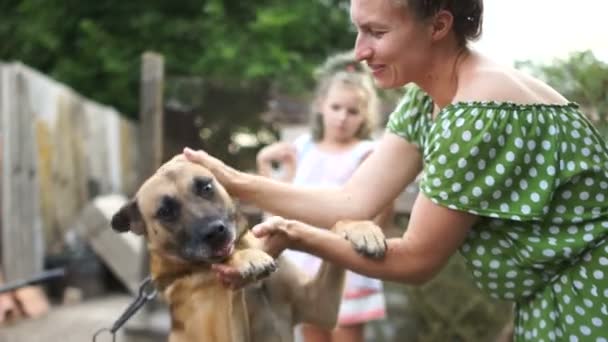 Dorfhund an der Leine und sein Frauchen. junge Frau streichelt einen Mischling, der Tierrechte schützt — Stockvideo