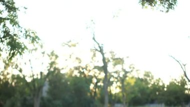 Mutlu baba küçük kızını fırlatıyor. Kız mutlu bir şekilde gülüyor. Babalar Günü Yaz Tatili