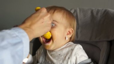 Yüksek sandalyedeki bebek isteyerek kaşıktan yulaf lapası yiyor. Bebek maması, bebekleri beslemenin başlangıcı.