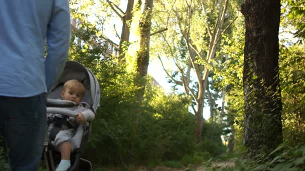 Οικογενειακή βόλτα στο πάρκο. Μια τετραμελής οικογένεια πηγαίνει στην απόσταση κατά μήκος ενός μονοπατιού στο δάσος. Πίσω όψη — Αρχείο Βίντεο