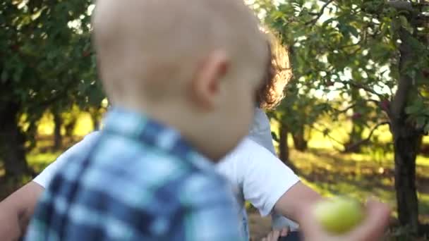 Vnoučata a dědeček se baví v jablečném sadu. Venkovská scéna, šťastná rodina, západ slunce a světlice — Stock video