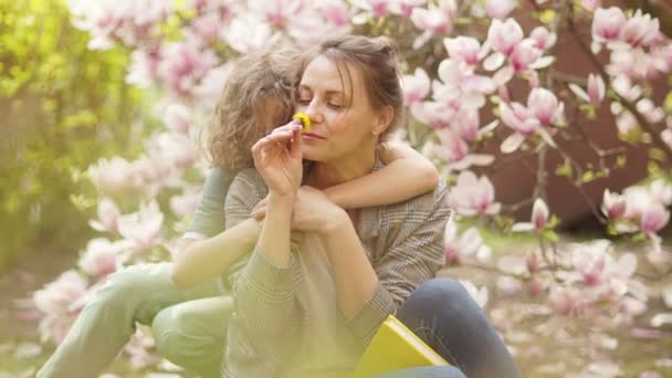 Молода жінка з кучерявим сином сидить на траві біля квітучого куща магнолії. У руці матері жовта кульбаба — стокове відео