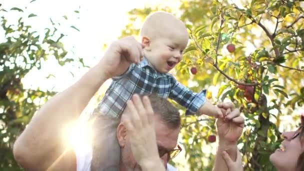 Família feliz descansando no pomar de maçã ao pôr do sol. Avô, filha e neto. O homem segura o bebê em seus ombros e o dobra para sua filha, todas as três pessoas riem alegremente — Vídeo de Stock